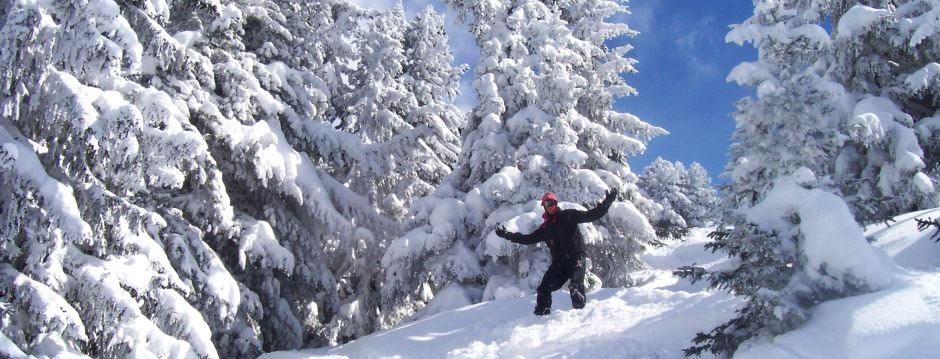 Vacances en chalet demi-pension &agrave; La Tania