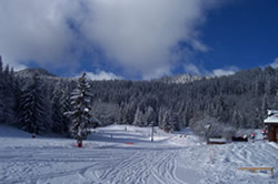 la tania pistes de ski